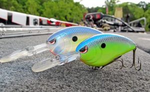 Crank up Your Bass Fishing Success: Tips and Techniques for Using Crankbaits