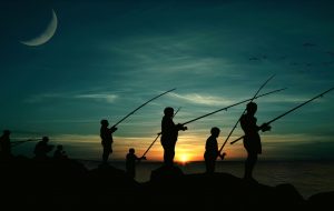 Top 10 must-have fishing gear for beginners