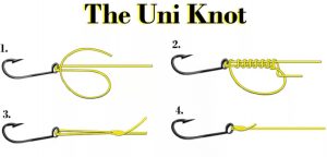 Mastering the Art of Fishing Knots Step-by-Step Guide for Every Situation
