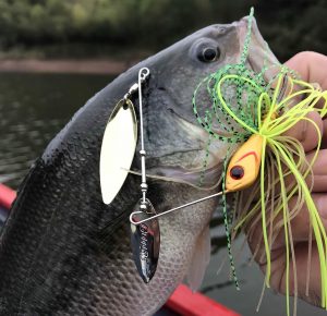 Mastering Spinnerbaits: Expert Tips and Techniques