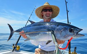 Tuna Fishing: Techniques and Tools for Landing the Big One