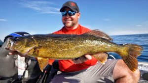 Walleye Fishing Tips for Beginners and Pros