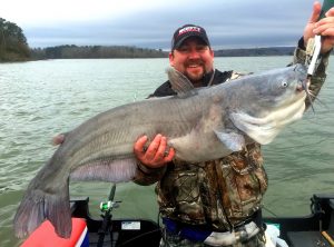All About Catfish: Species, Baits, and Tactics