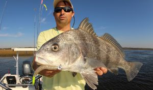 The Best Techniques for Catching Black Drum