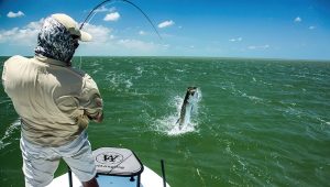 Tarpon Fishing: Tips and Techniques for Landing These Strong Fighters