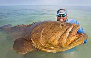 The Art of Catching Goliath Grouper: Tips and Techniques for Success