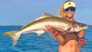 The Best Techniques for Catching Cobia