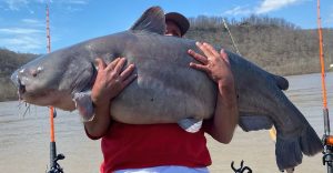 The Best Time of Year to Catch Catfish Seasonal Fishing for Anglers