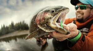 Fall Steelhead Fishing Tips and Strategies for Catching This Elusive Fish