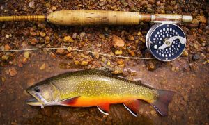 Spring Trout Fishing Tips and Techniques for Fishing Rainbow, Brown and Brook Trout
