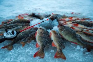 Winter Fishing Tips and Techniques for Cold Weather Anglers