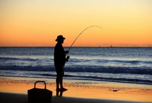 Summer Fishing Reel in the Season's Best Catches