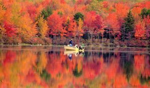 Fall Fishing The Ultimate Guide to a Bountiful Season