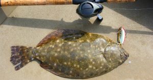 Mastering Summer Flounder Fishing Tips and Techniques for Catching the Big Ones