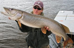 The Best Techniques for Catching Northern Pike
