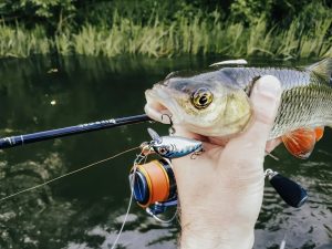 The Art of Spincasting A Beginner's Guide to Catching More Fish