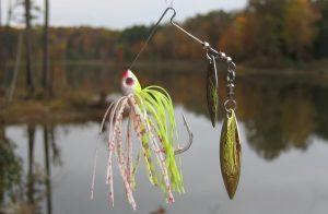 Mastering the Art of Spinner and Spinnerbait Fishing Tips and Techniques for Success