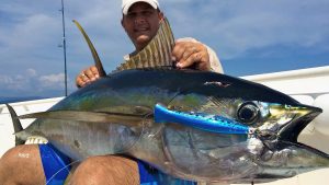 Fall Bluefin Tuna Fishing Master the Art of Catching These Powerful Giants