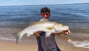 Summer Surf Fishing Expert Tips and Techniques for Catching Striped Bass and Bluefish from the Beach