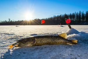 Winter Pike Fishing Tips and Techniques for Catching Big Northern Pike on Ice