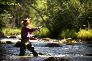 Springtime Trout Fishing in Mountain Streams Techniques and Strategies for Success