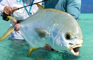 Summer Saltwater Fly Fishing Top Tips for Landing Bonefish, Permit, and Tarpon