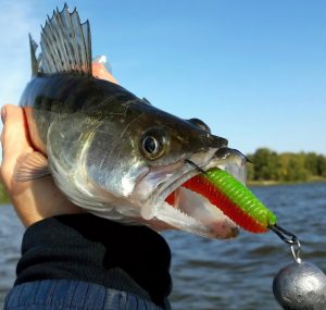 Mastering Jigging Techniques A Comprehensive Guide for Catching Different Types of Fish.