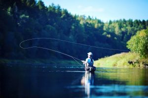 Mastering the Art of Fly Fishing Essential Tips and Techniques for Beginners