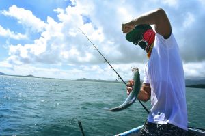 Master Saltwater Surf Fishing with Top Gear Picks and Techniques
