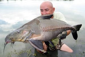 Essential Catfish Fishing Gear for Success in Rivers and Lakes