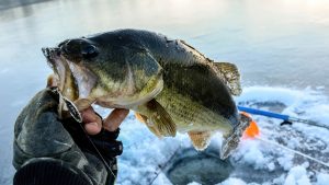 Essential Ice Fishing Gear for Lakes and Rivers A Guide for Anglers