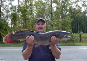 Mastering Bowfin Fishing Expert Tips and Tactics to Catch This Prehistoric Predator
