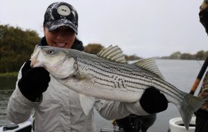 Mastering Striped Bass Fishing Pro Tips for Guaranteed Success