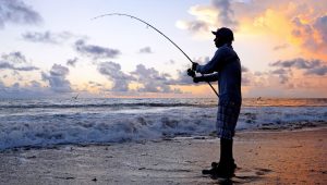 Hawaii Fishing Heaven: Offshore & Inshore Hotspots for Avid Anglers