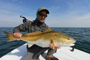 Mastering Redfish Fishing Top Gear for Saltwater Flats and Marshes
