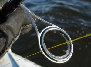 Selecting the Ideal Fishing Line Abrasion Resistance for Every Angler's Needs