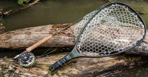 Trout Fishing Mastery Essential Gear for Success in Streams and Rivers