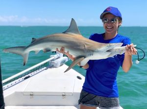 Mastering Blacktip Shark Fishing Essential Techniques and Gear