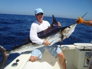 Mastering Sailfish Fishing Expert Guide on Bait Selection, Rigging, and Advanced Tactics