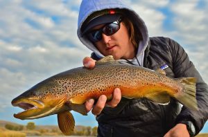 Mastering the Hunt for Lake Trout Expert Tips and Techniques