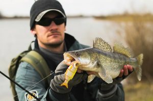 Walleye Fishing Mastery Proven Tips and Tricks for Success