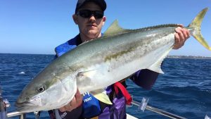 Mastering Yellowtail Kingfish Fishing Top Locations & Techniques Uncovered