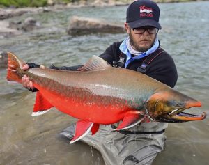Arctic Char Fishing Mastery Expert Tips and Techniques