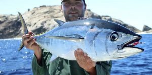 Bluefin Tuna Fishing Mastery Top Locations and Proven Techniques