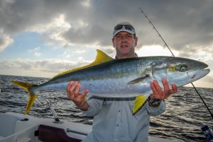 Mastering Yellowtail Kingfish Essential Techniques and Tips