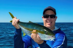 Mastering Yellowtail Kingfish Essential Techniques and Tips