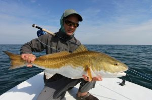 Master Redfish Fishing Inshore Giants' Tips & Techniques