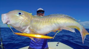 Mastering Golden Tilefish Effective Baits, Rigs, and Tactics Unveiled