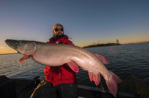 Musky Fishing Mastery Proven Tips and Tricks for Trophy Catches