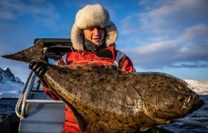 Scandinavian Fishing Adventures Uncovering Top Spots in Norway, Sweden, and Finland